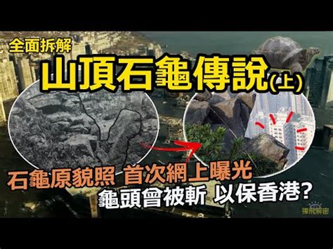 石龜風水|石龜風水：5大旺運法